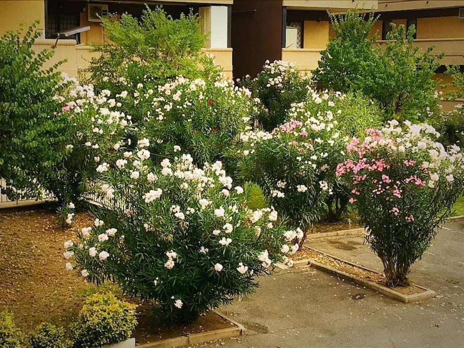 Apartment With Private Parking - Roma Est. Lunghezza Esterno foto